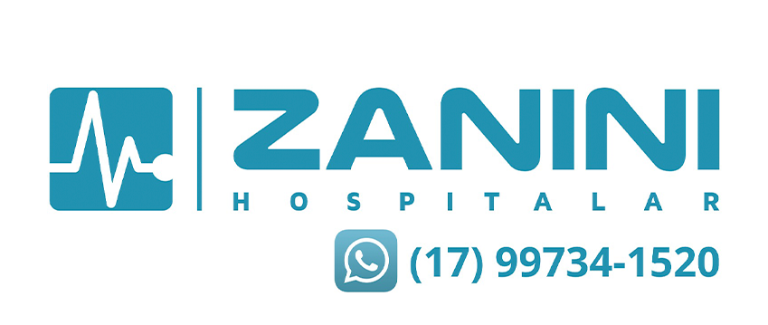 Zanini